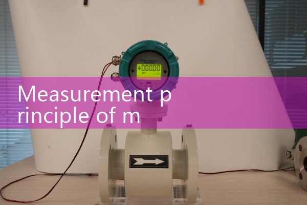 Measurement principle of mass flowmeter