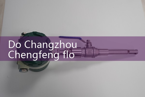 Changzhou Chengfeng flowmeter