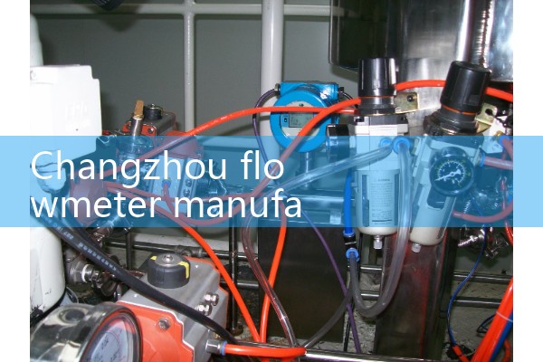 Changzhou flowmeter manufacturer