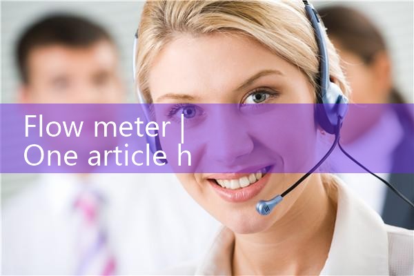 flow meter|rotameter flow meter