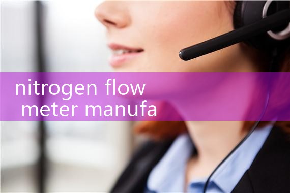 nitrogen flow meter manufacturer|flow meter distributor