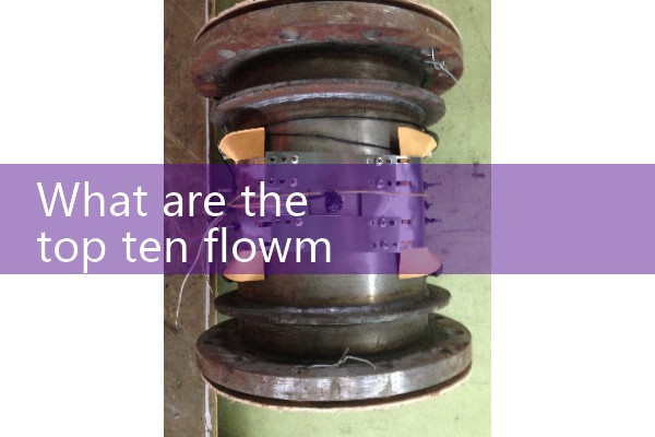 Supplier Quality Flow Meter Manufacturer Ranking