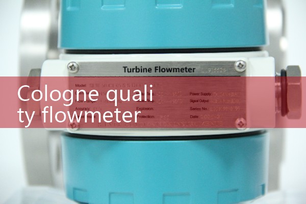 Cologne Quality Flow Meter Manufacturer