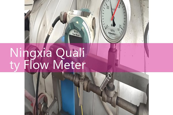 Supply by Ningxia Quality Flow Meter Manufacturer
