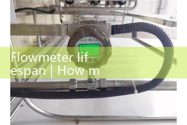 Lifespan of flow meter