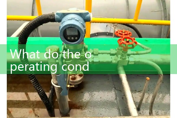 Standard condition of vortex flowmeter