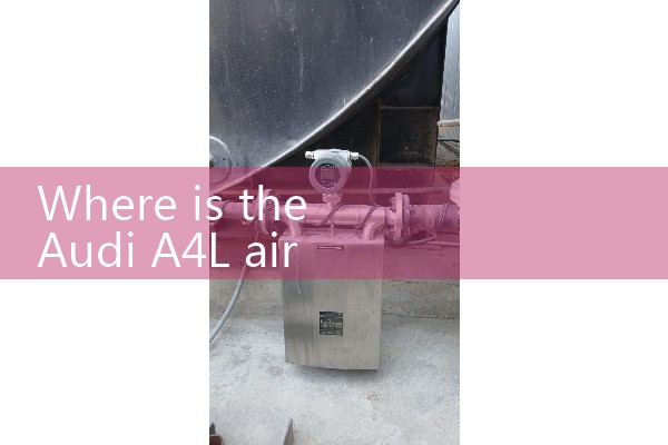Audi air flow meter