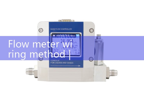 Gas flowmeter and steam flowmeter