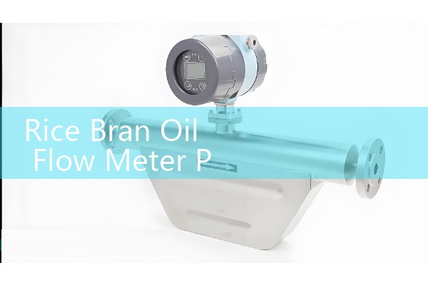 DN100 steam flowmeter