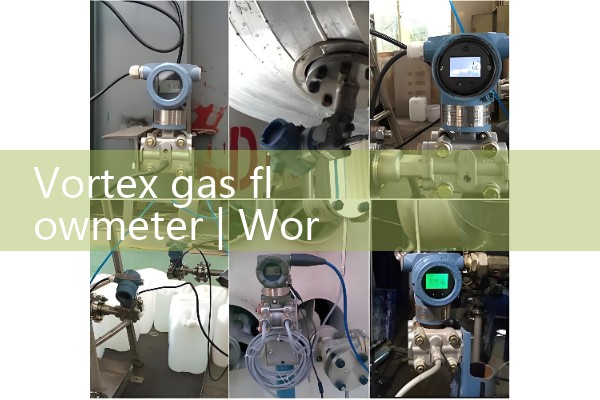 Vortex gas flowmeter