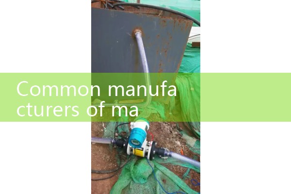 Common manufacturers of quality flow meters