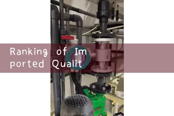 Ranking of manufacturers of imported quality flow meters
