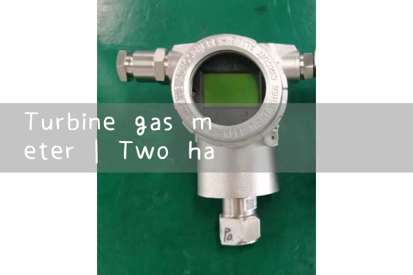 turbine gas meter|orifice meter