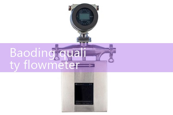 Baoding quality flowmeter manufacturer quotation