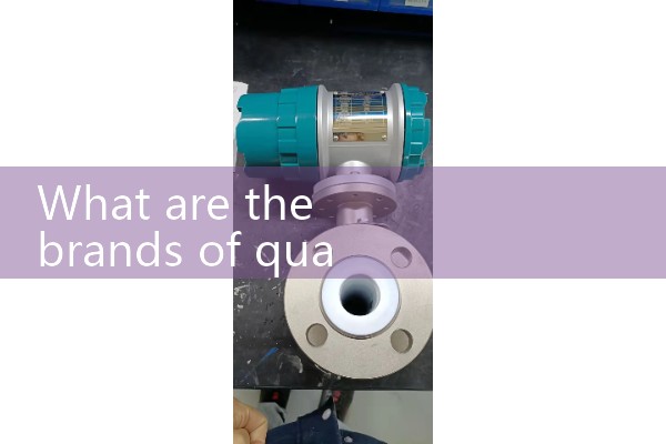 Supply from Xuzhou Quality Flow Meter Manufacturer