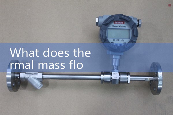 thermal mass flow meter|orifice meter