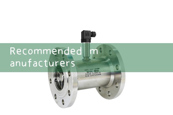 Recommended manufacturers for Sichuan quality flow meters