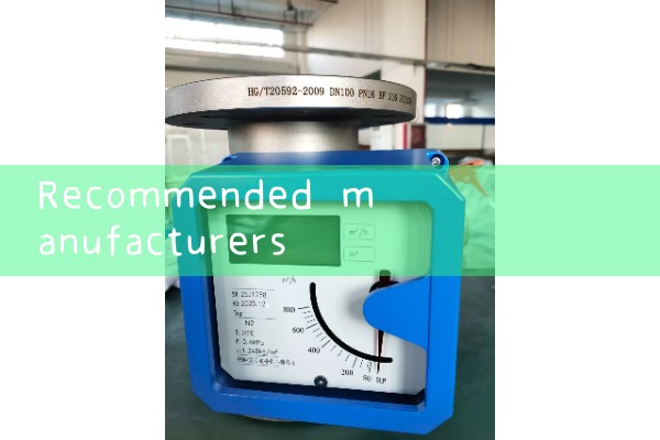 Recommended manufacturer of Jiaxing quality flowmeter