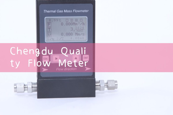 Professional manufacturer of quality flow meters in Chengdu